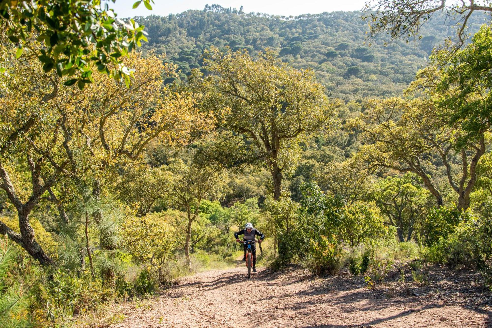 Herdade Das Barradas Da Serra Grândola المظهر الخارجي الصورة