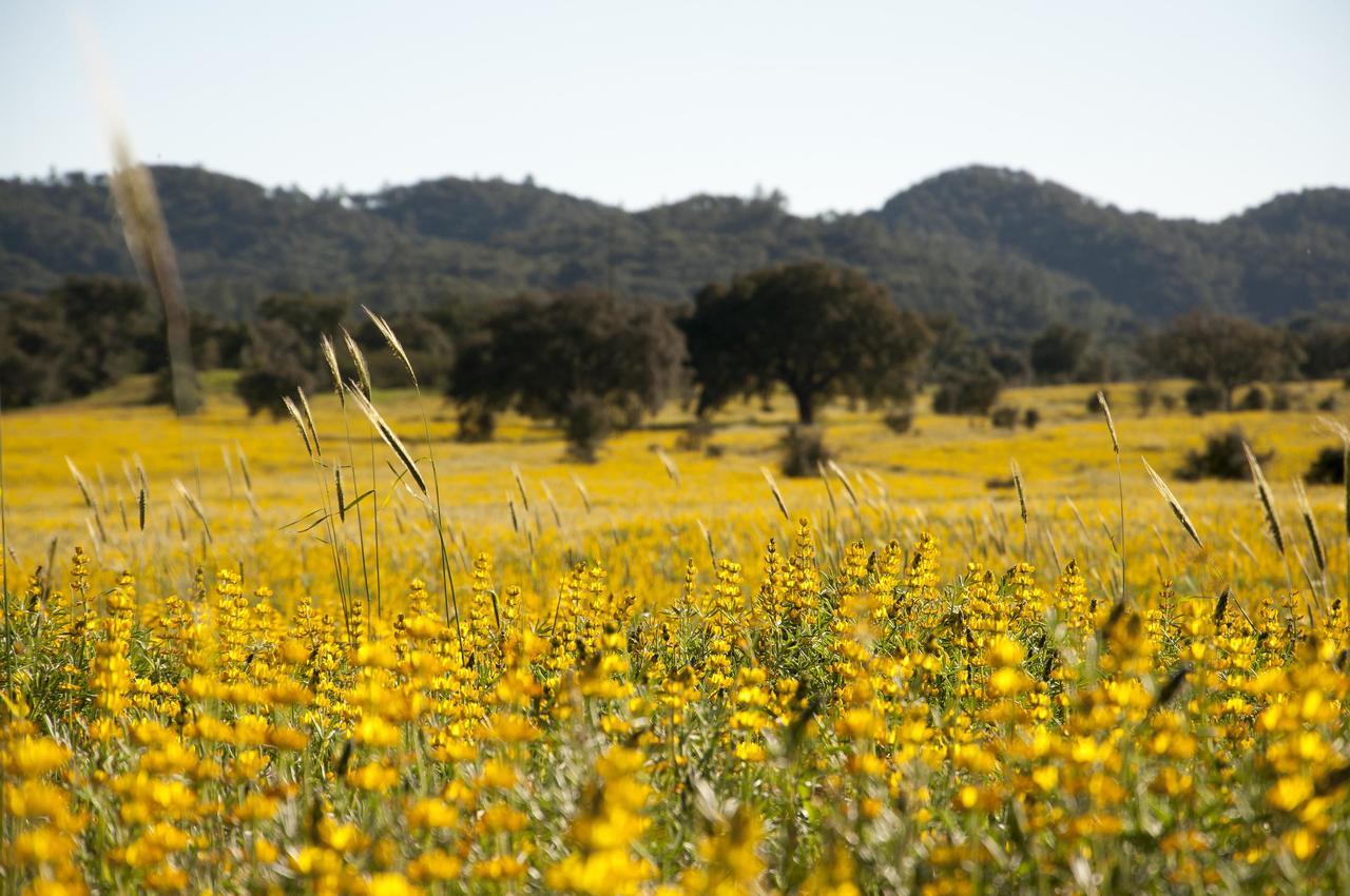 Herdade Das Barradas Da Serra Grândola المظهر الخارجي الصورة